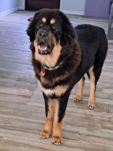 484957925_9264783540286464_393469850889637021_n-225×300