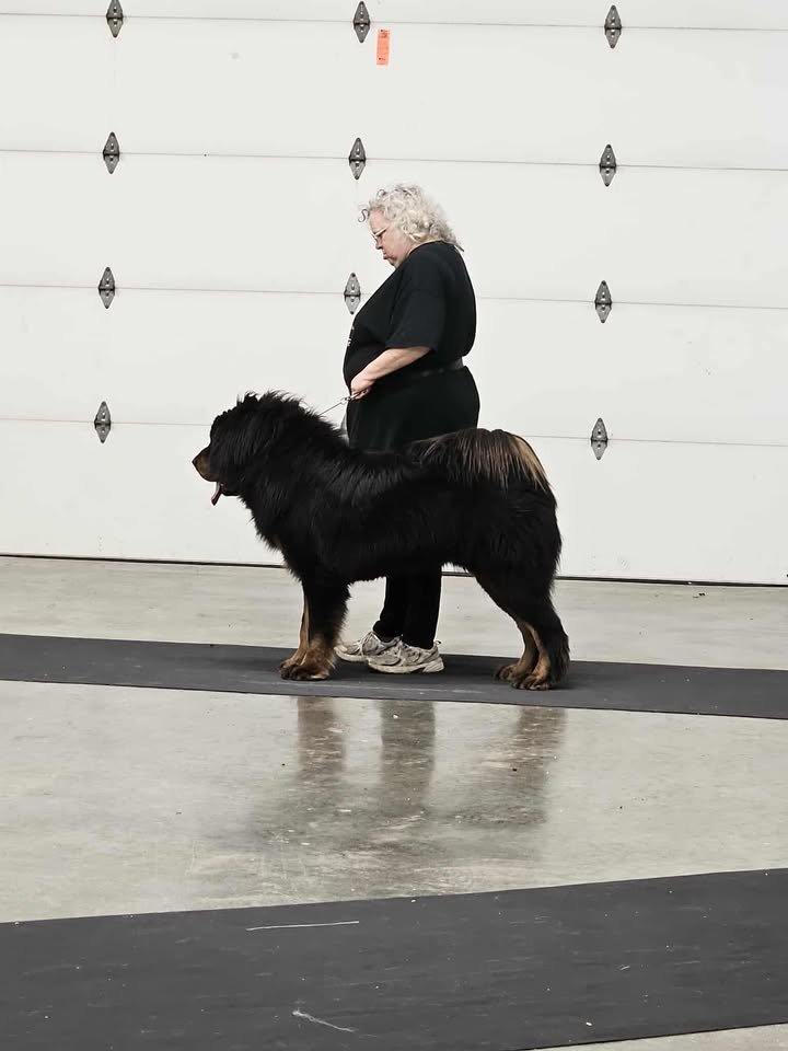 551798807_806137675135842_5423751826385407136_n