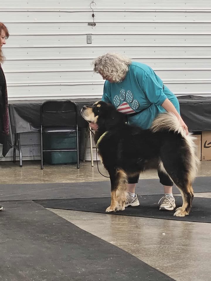 551805490_1954241178703484_6014421757464176225_n