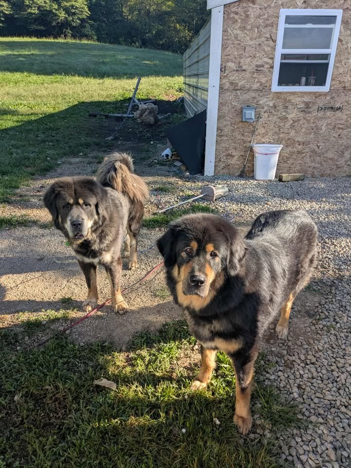 551837342_2171702539988039_3349261338225656390_n (1)