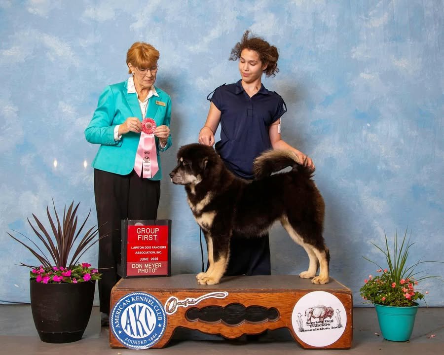 552272645_685445880614060_3022377053130967682_n