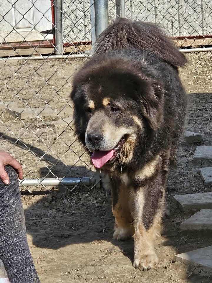 552301010_796522999442011_3153014711195974894_n