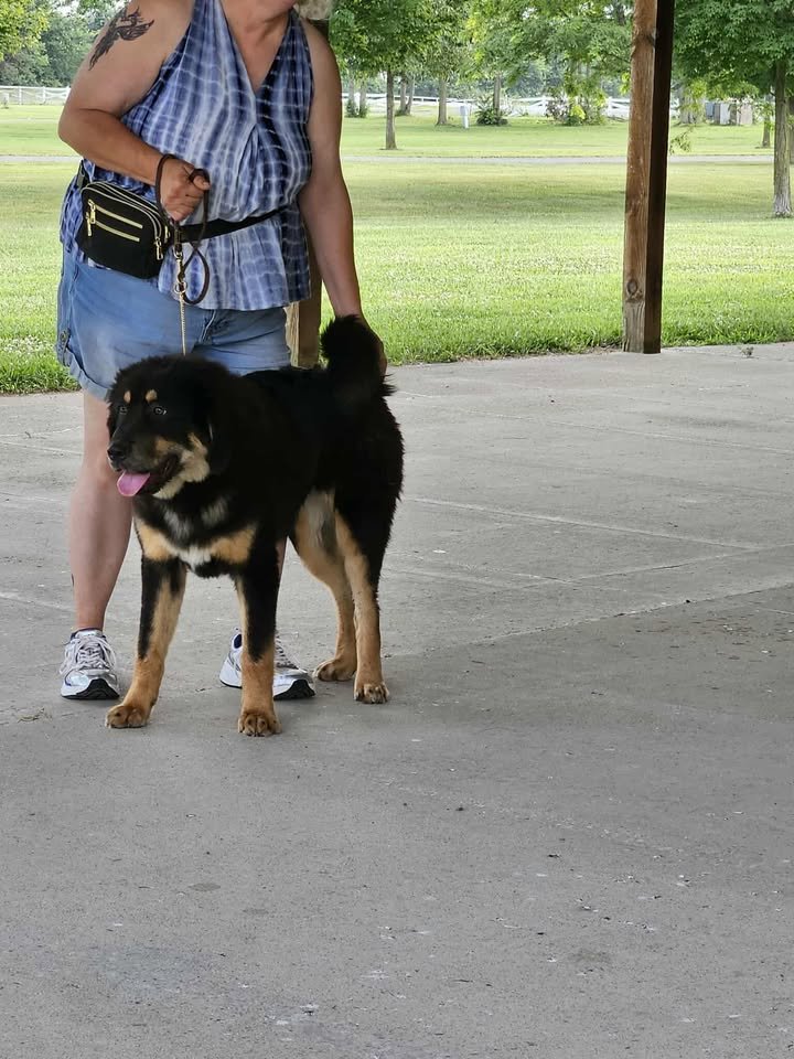 552509483_775794698629673_8066730952635290004_n