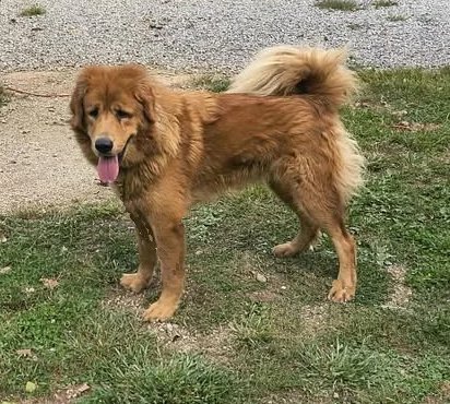 552649989_812184044587140_34211530625864726_n